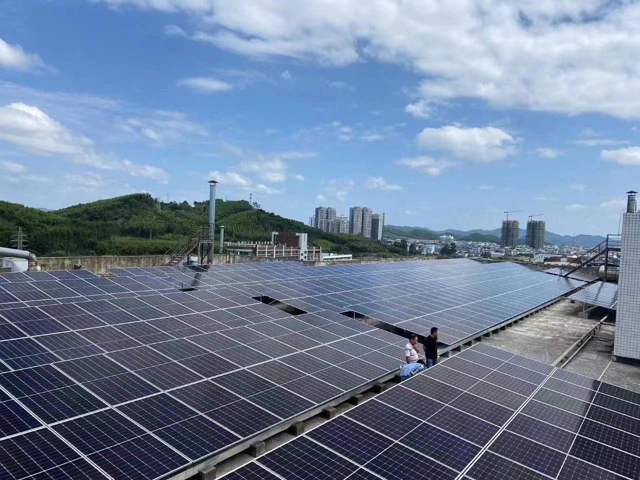 创世红海(中国区)集团有限公司官网